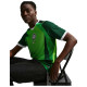 Nike Ανδρική κοντομάνικη μπλούζα Nigeria 2026 Stadium Home Dri-FIT Jersey